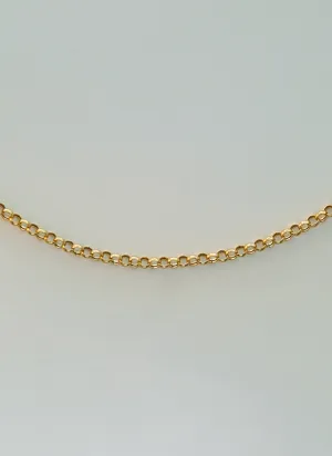 Jasseron 3.3mm necklace 14k gold