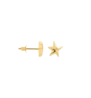 Single Mesmerising Star Stud Earring 14K